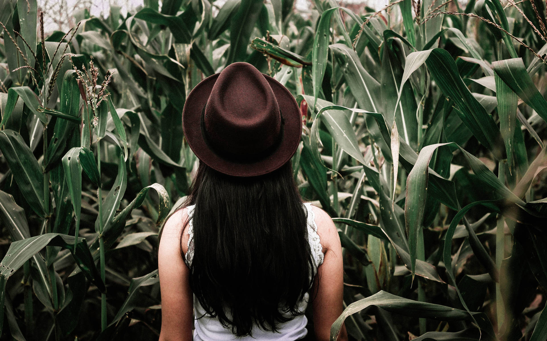 Why Being Stressed Makes Us Crave Junk Food
